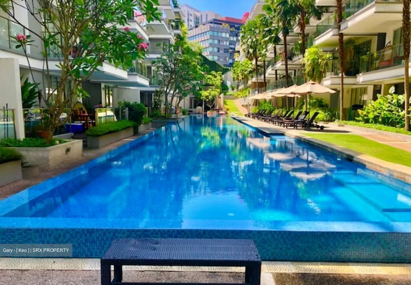 8 @ Mount Sophia (D9), Condominium #543484901